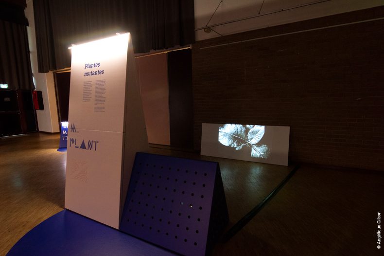 Scénographie événementielle pour l'université Paris Saclay